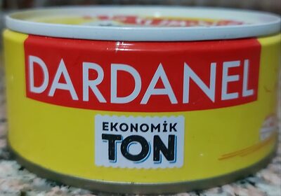 Ekonomik Ton