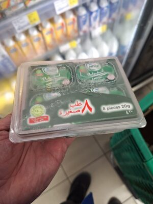 Pinar labneh 8x20g